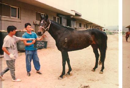 ������ ����