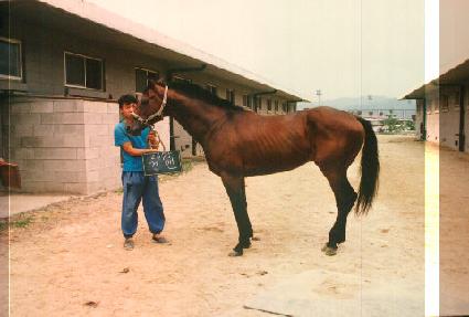 �Ǹ� ����