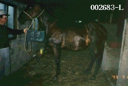 �Ż� ����