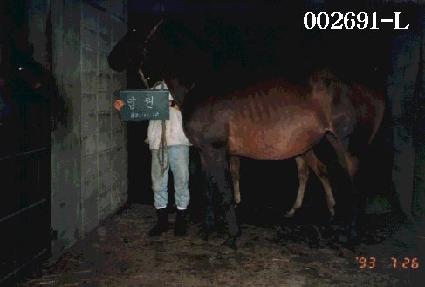 �б� ����