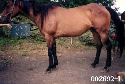 ����� ����