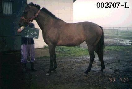 ����� ����