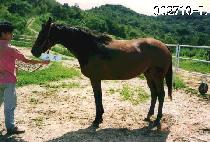 ���� (SEOL HI) ����