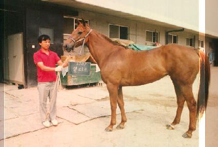 ����Ʈ ����