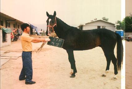 �ż� ����