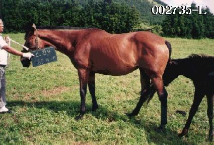 ���ܳ� ����