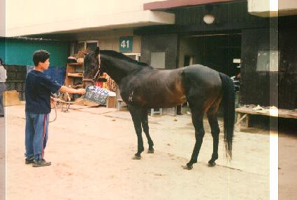 ��ź�� ����