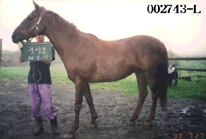 �漺ȣ ����