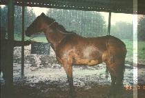 ��¿� (WU SEUNG WANG) ����