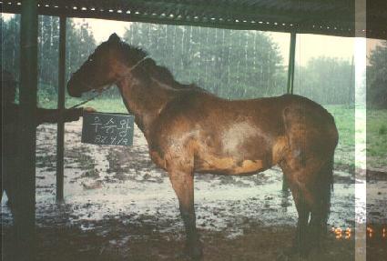 ��¿� ����