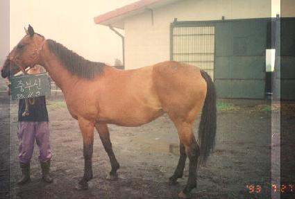 �ߺμ� ����