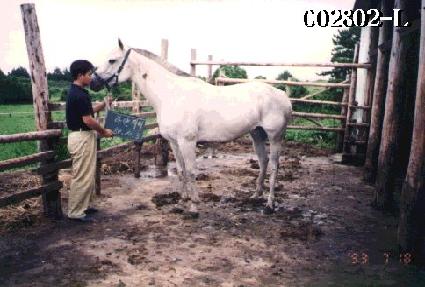 �Ͼ����� ����