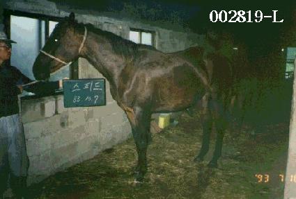 ���ǵ� ����