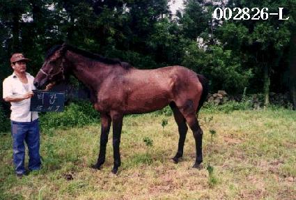 ���� ����