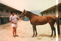 ���� (SINHEUNG) ����