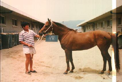 ���� ����