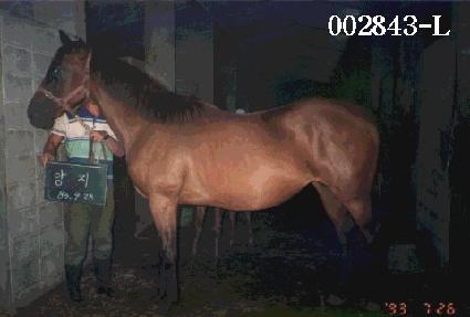 ���� ����