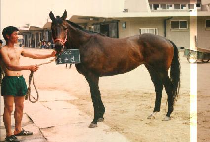 �⵿�� ����