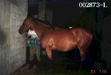 û��� ����