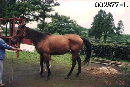 ĥ���� ����