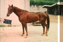 ���� (BO SUK) ����