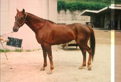 ���� ����