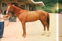 Ÿ��Ʋ (TITLE) ����