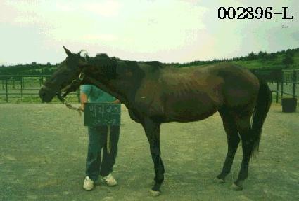 ��Ÿ���� ����