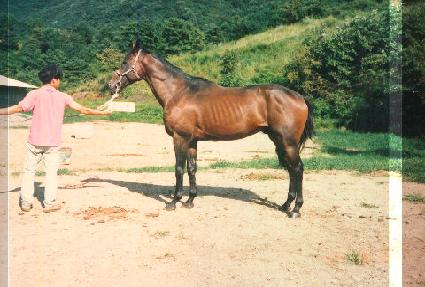 ����õ ����