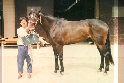 ���� ����