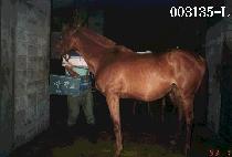 ���屳 (MA JANG GYO) ����