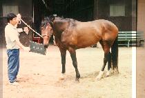 ���ù� (SE RYUN MI) ����