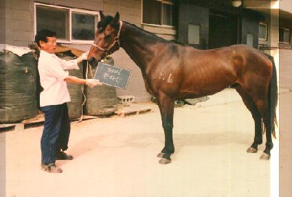 �Ѷ�� ����