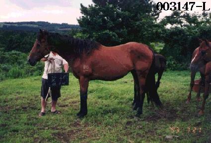 �ɳ��� ����