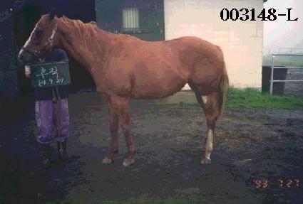 ���� ����