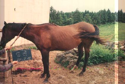 ���� ����