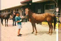 ���� (YUK JUM) ����