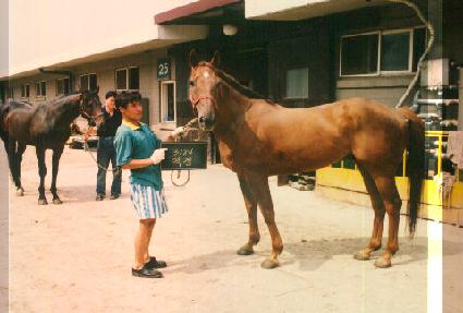 ���� ����