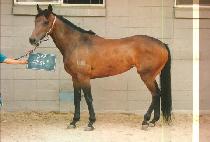 ��ȭ�� (KWANGHWAMUN) ����