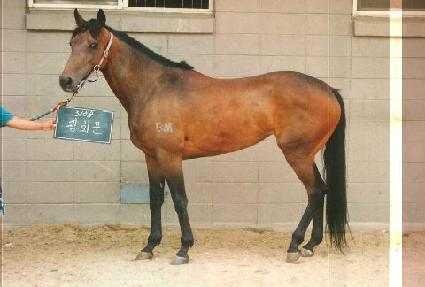 ��ȭ�� ����