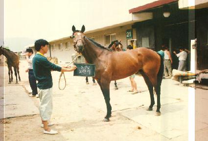 ��ù� ����