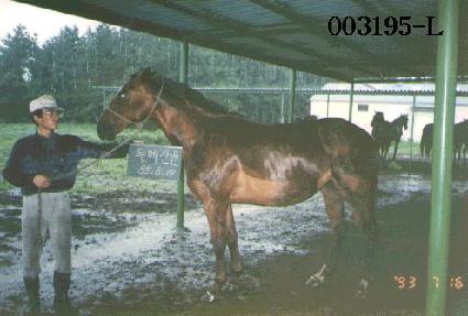 �θ޻�� ����