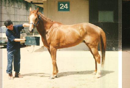 ��� ����