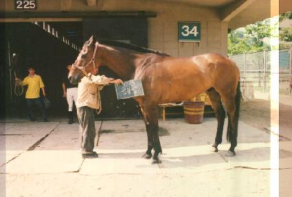 �ݺһ� ����