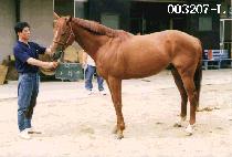 ��ȭ�� (DAE HWA HAB) ����