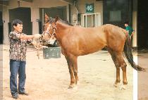 �ºο� (SEUNG BU YOK) ����