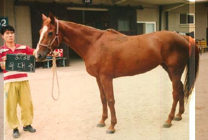 ������ ����