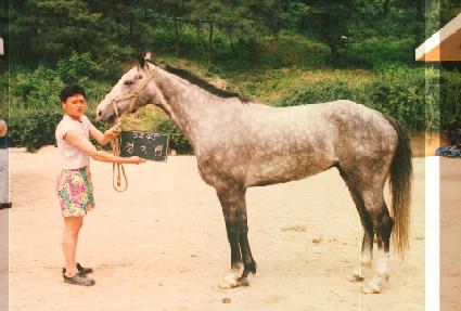 ��⺴ ����