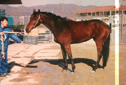 �ϱؼ� ����