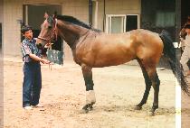 ���ȣ (NOK WOUN HO) ����